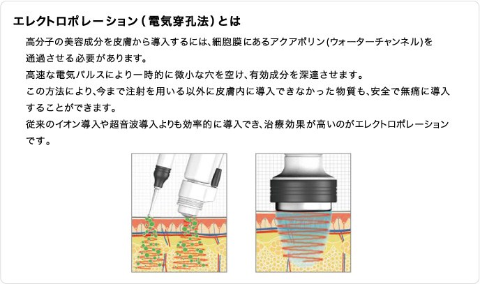 エレクトロポレーションの仕組みを説明する図